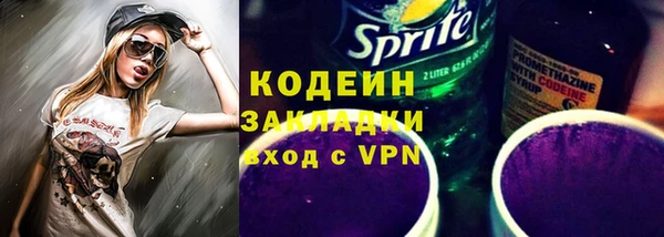 ECSTASY Бородино