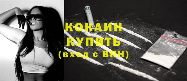 ECSTASY Бородино