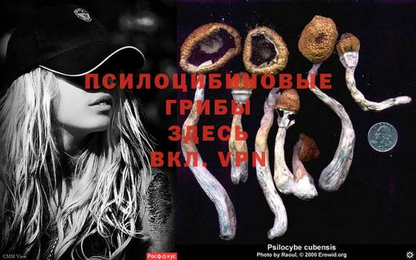 ECSTASY Бородино