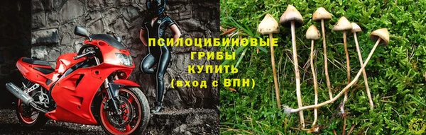 ALPHA-PVP Бугульма