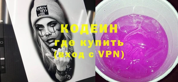 ECSTASY Бородино