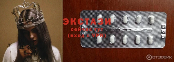 ECSTASY Бородино