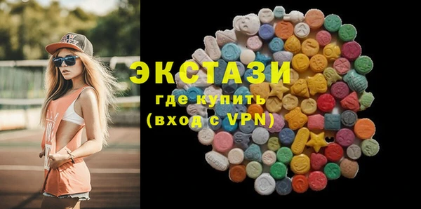 дмт Богородицк